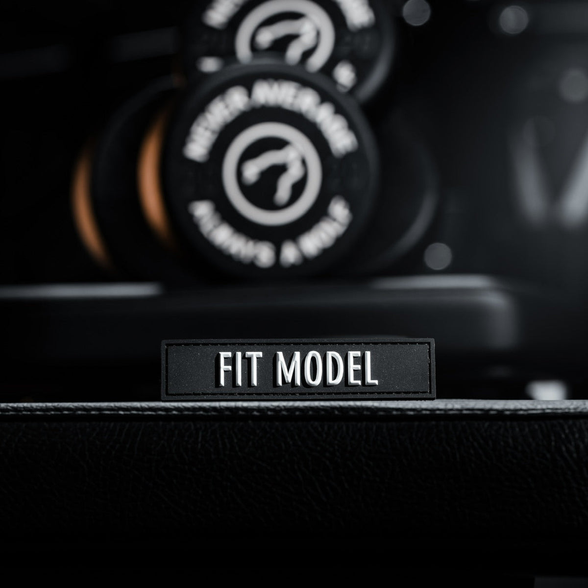 Fit Model