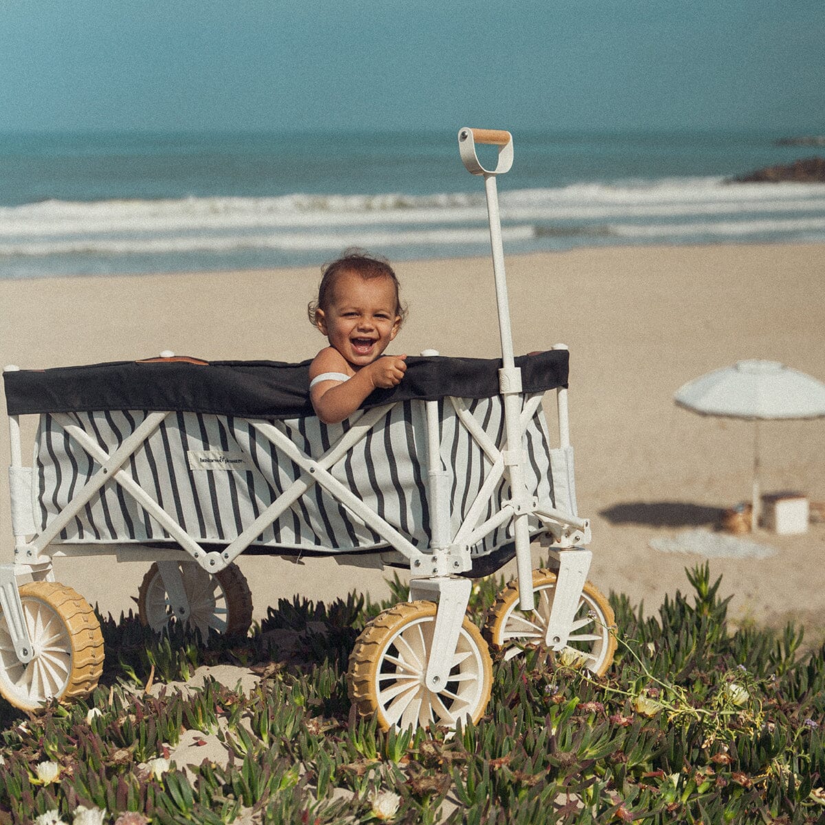The Beach Cart