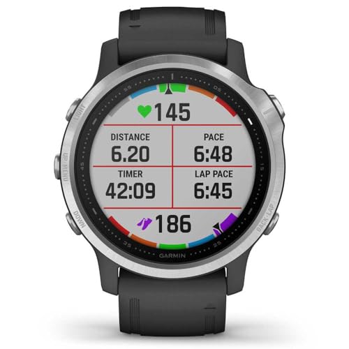 Garmin fēnix 6S GPS Smartwatch 30mm - Silver w/ Black Silicone Band - 010-02159-01