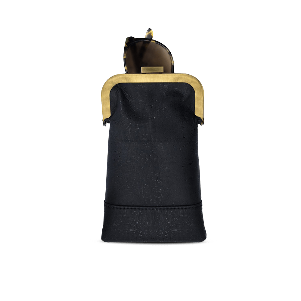 Glasses Case