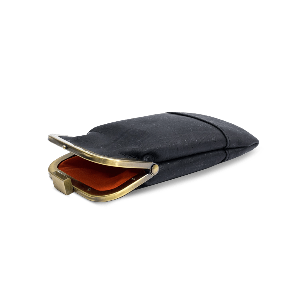 Glasses Case