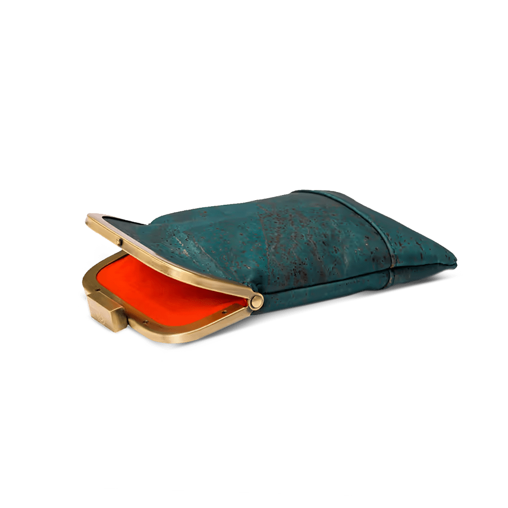 Glasses Case