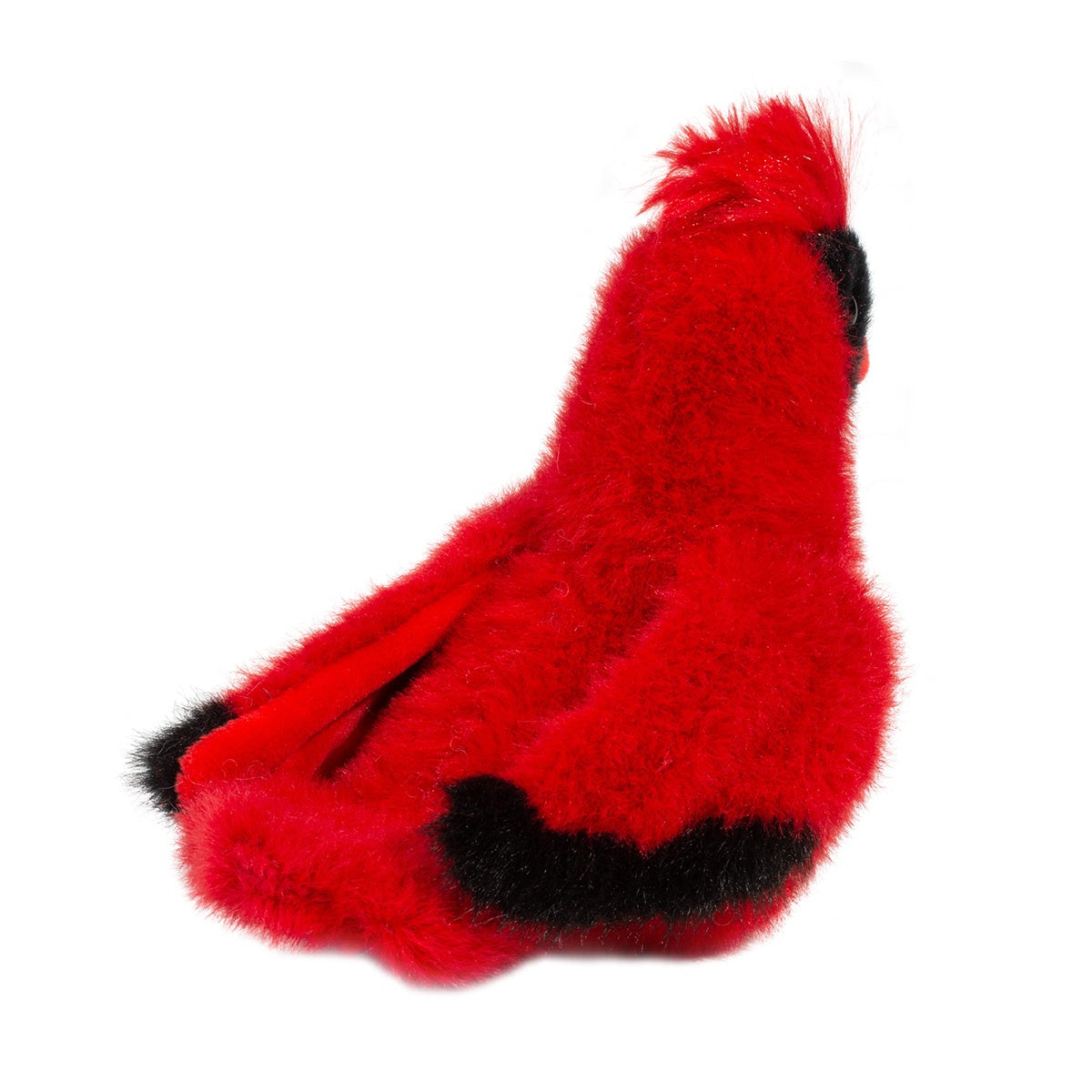 Douglas Carmine Cardinal