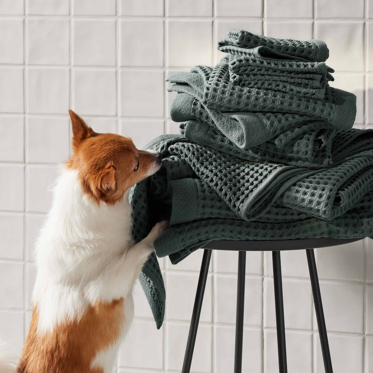 Dreamweave Waffle Bath Sheets Set of 2 - Last Call