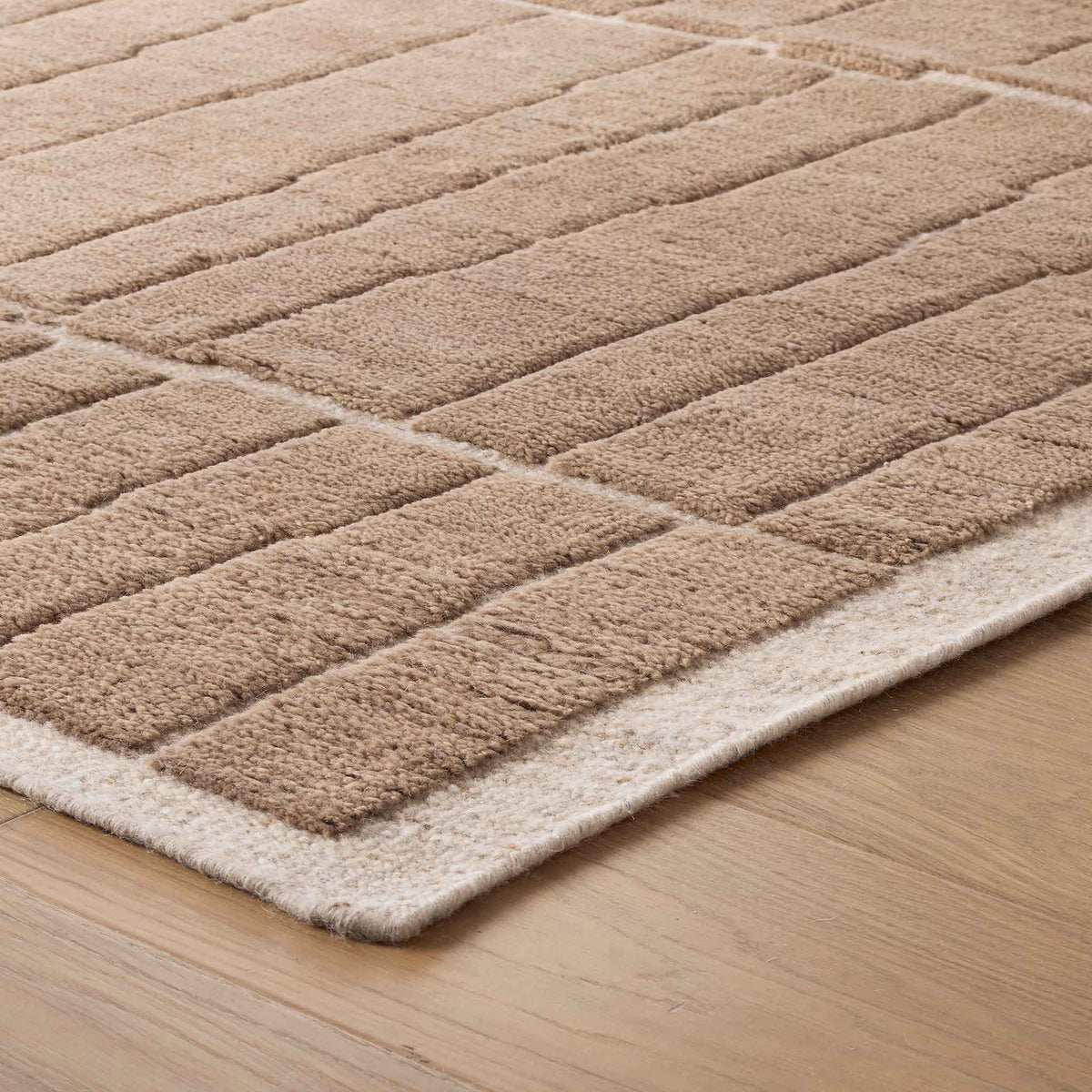 Aiden Hand-Knotted Area Rug