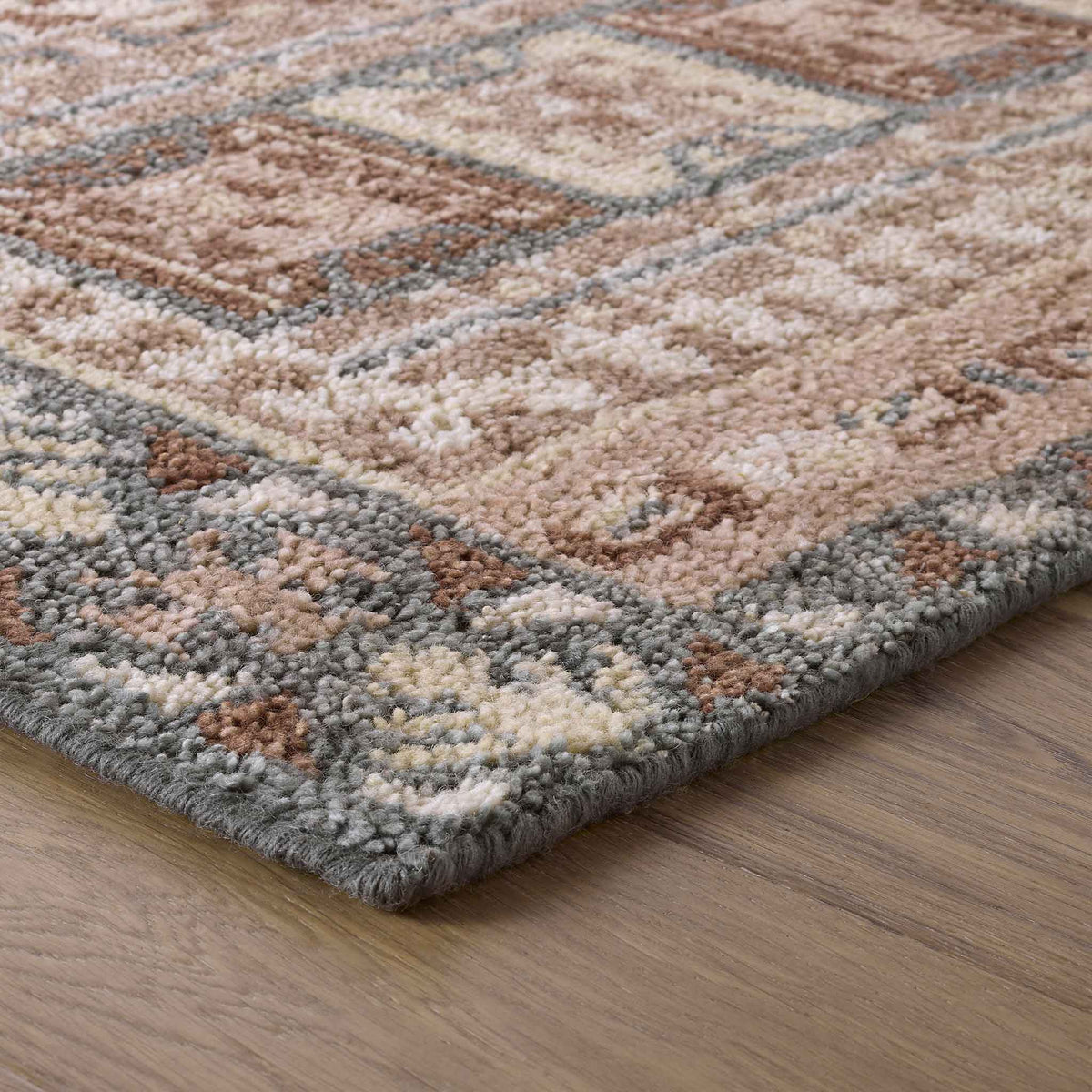 Sarasi Hand-Knotted Area Rug