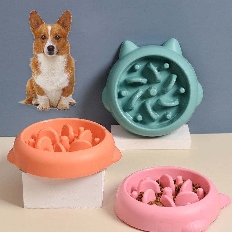 Pet Slow Feeder Bowls for Dogs &amp; Cats