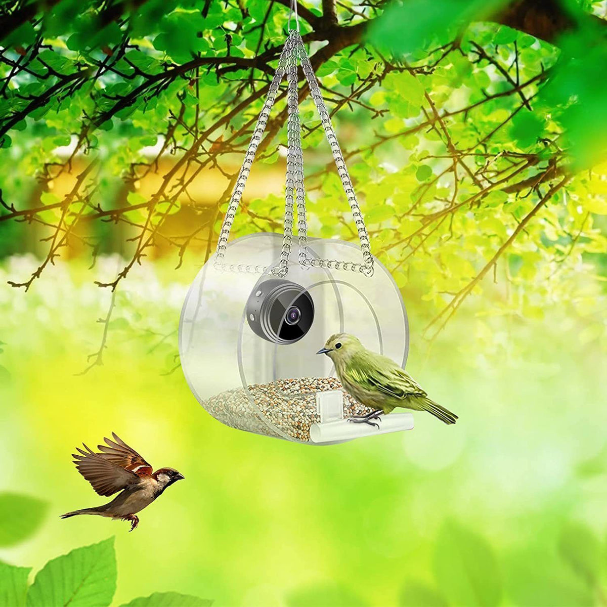 Smart Pet Feeder with HD Camera