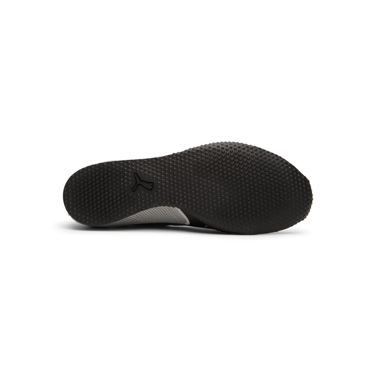 Puma H-Street Chrome (Gray)