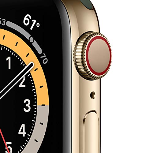 Apple Watch Series 6 (GPS + Cel) 40mm Gold SS Case with Cyprus Green Sport Band - M02W3LL/A