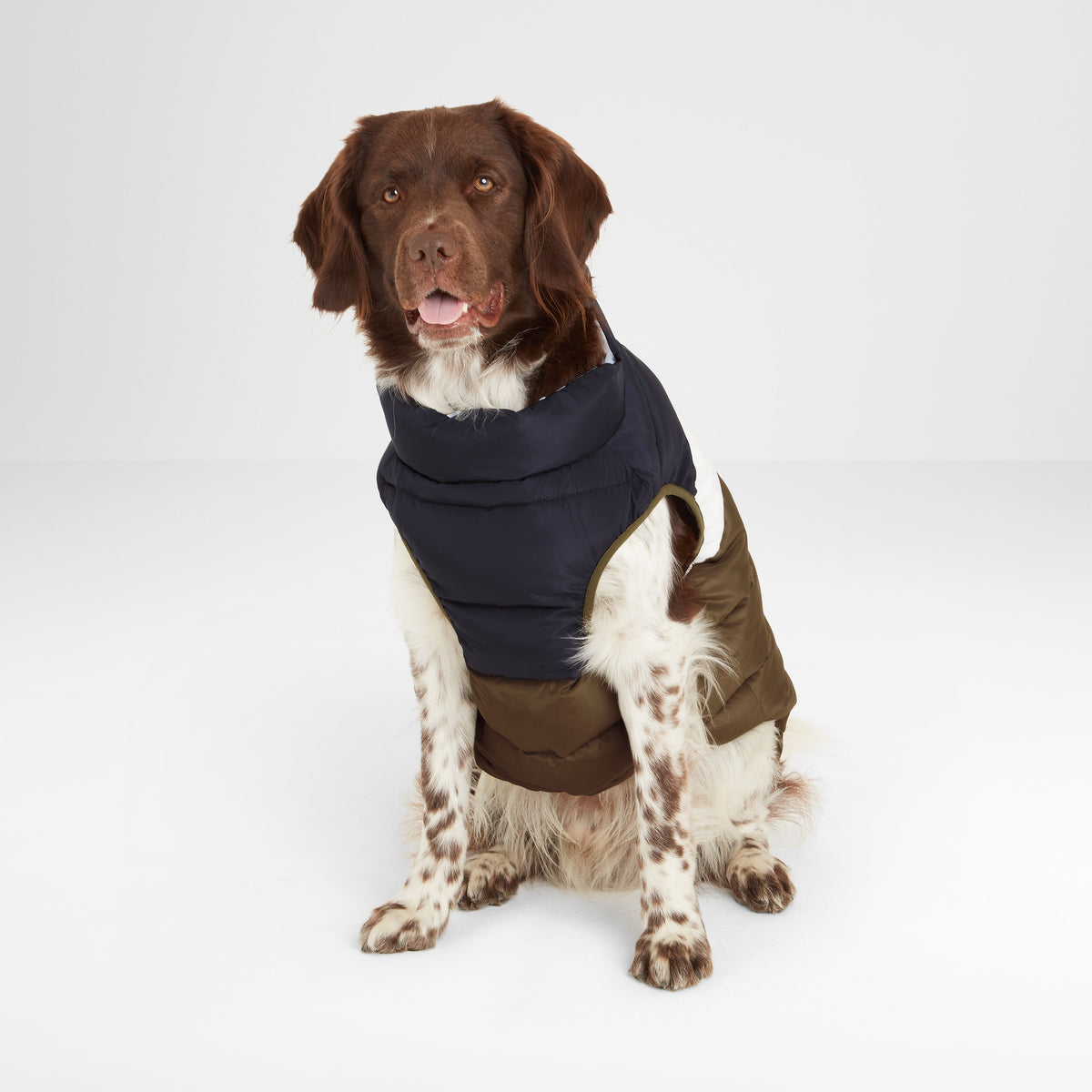 Fetch Padded Dog Coat - Faded Khaki/Dark Indigo/Optic White