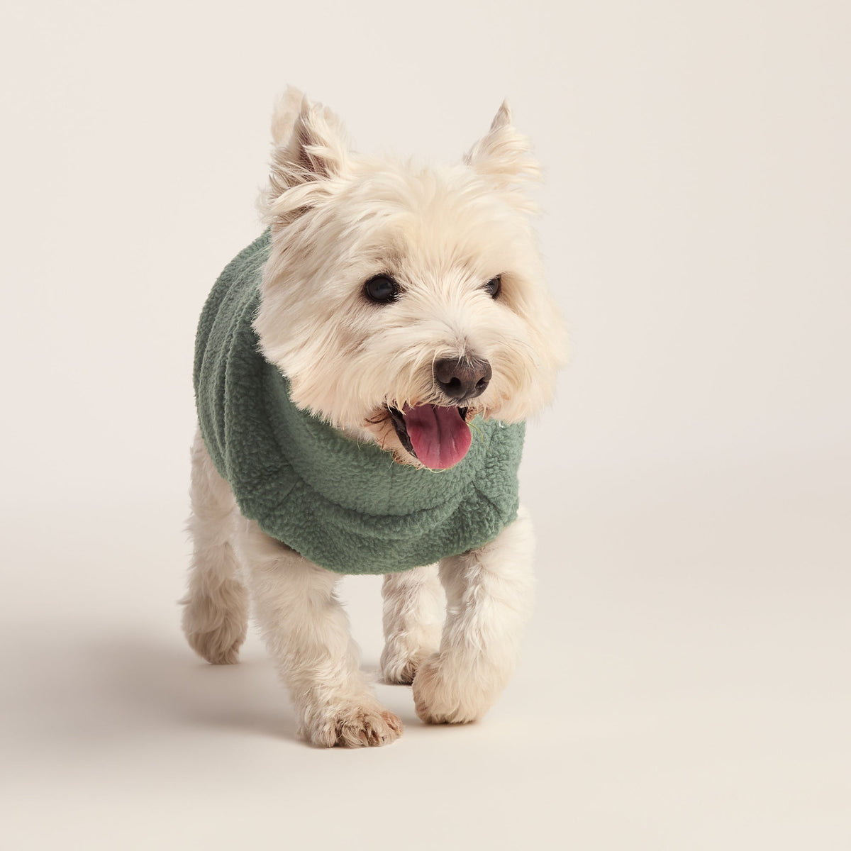 Rover Sherpa Dog Coat S - Light Forest