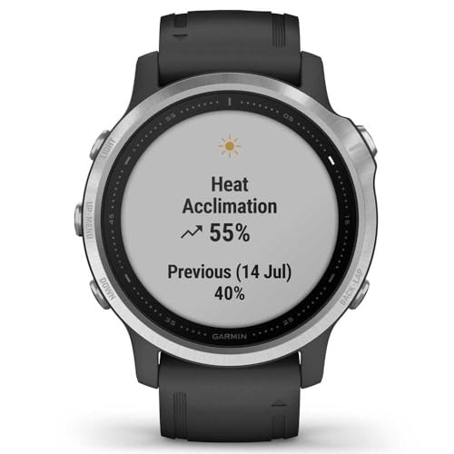 Garmin fēnix 6S GPS Smartwatch 30mm - Silver w/ Black Silicone Band - 010-02159-01