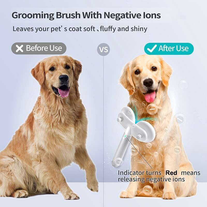 Double-Headed Pet Brush with Negative Ion
