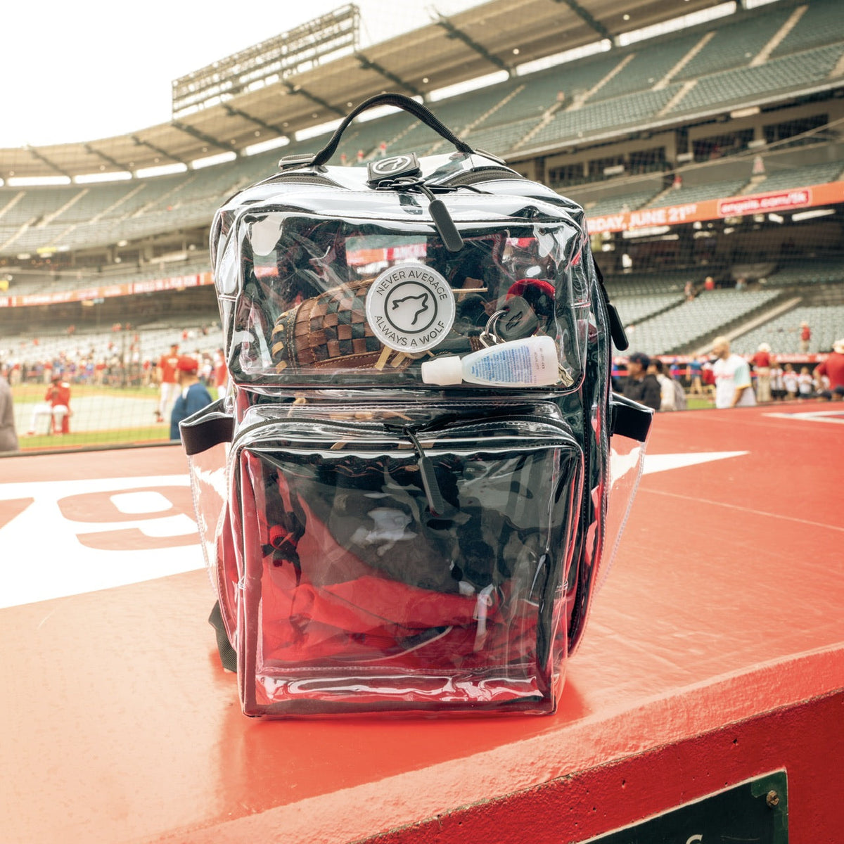 15L Backpack Clear