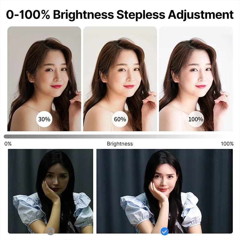 VIJIM K20 Pro Desktop LED Panel Light