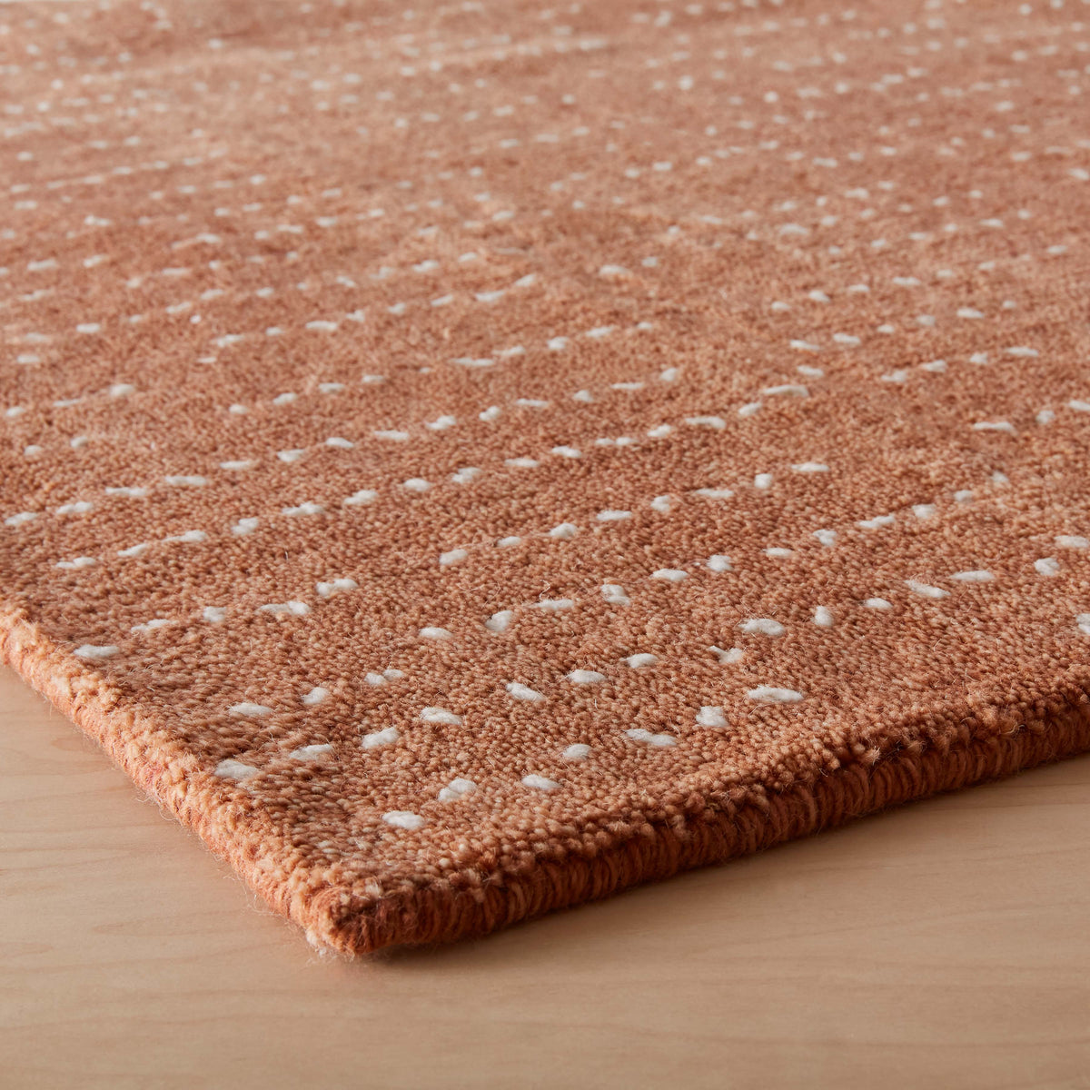 Atashi Hand-Knotted Area Rug