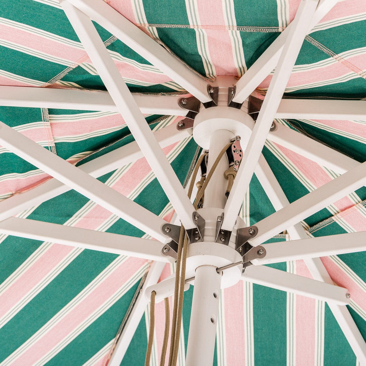 The Market Umbrella