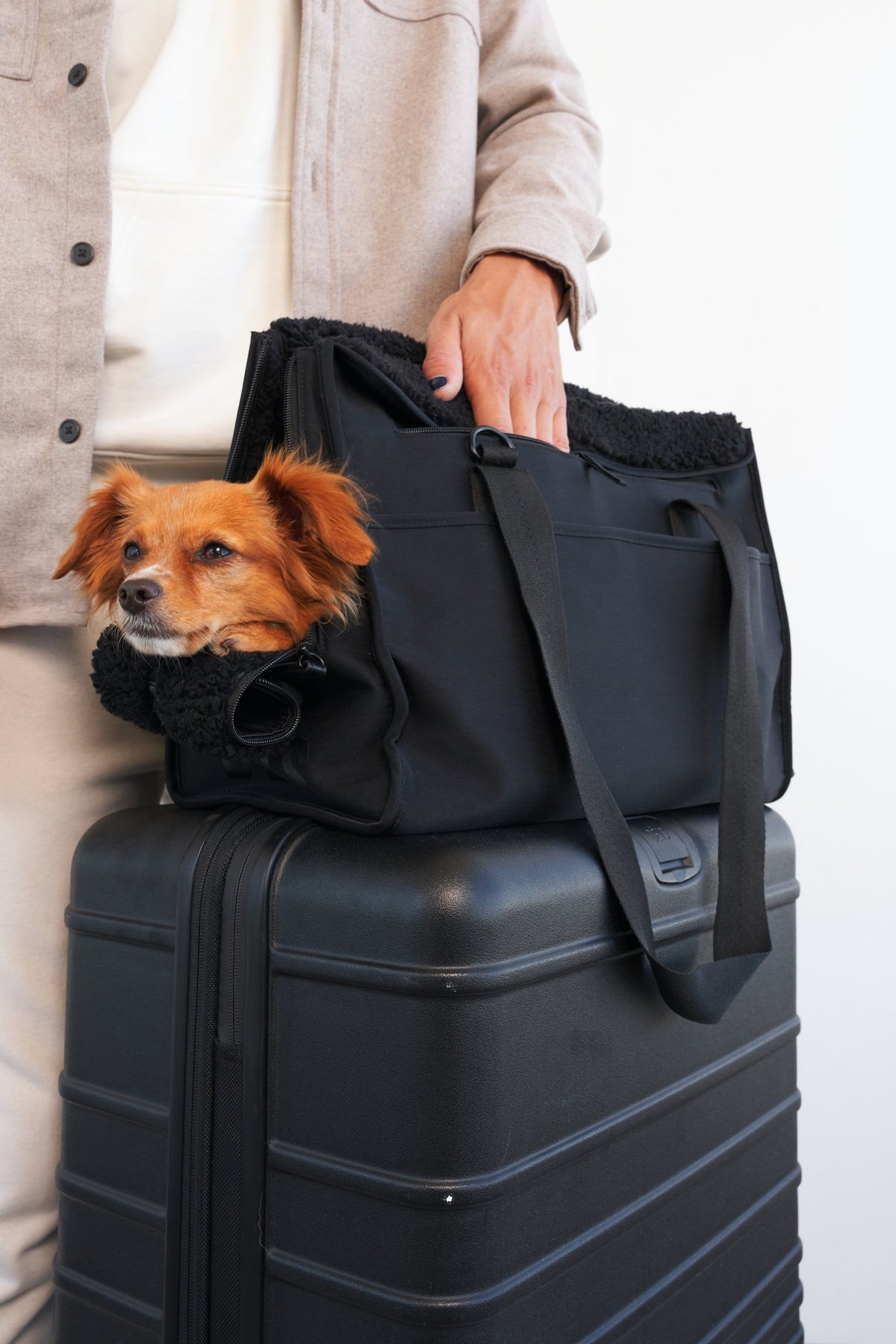 Resale The Everyday Pet Tote in Black