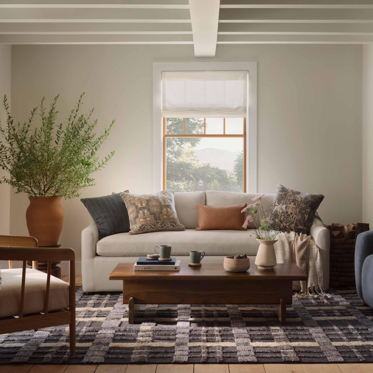 Euclid Handwoven Area Rug