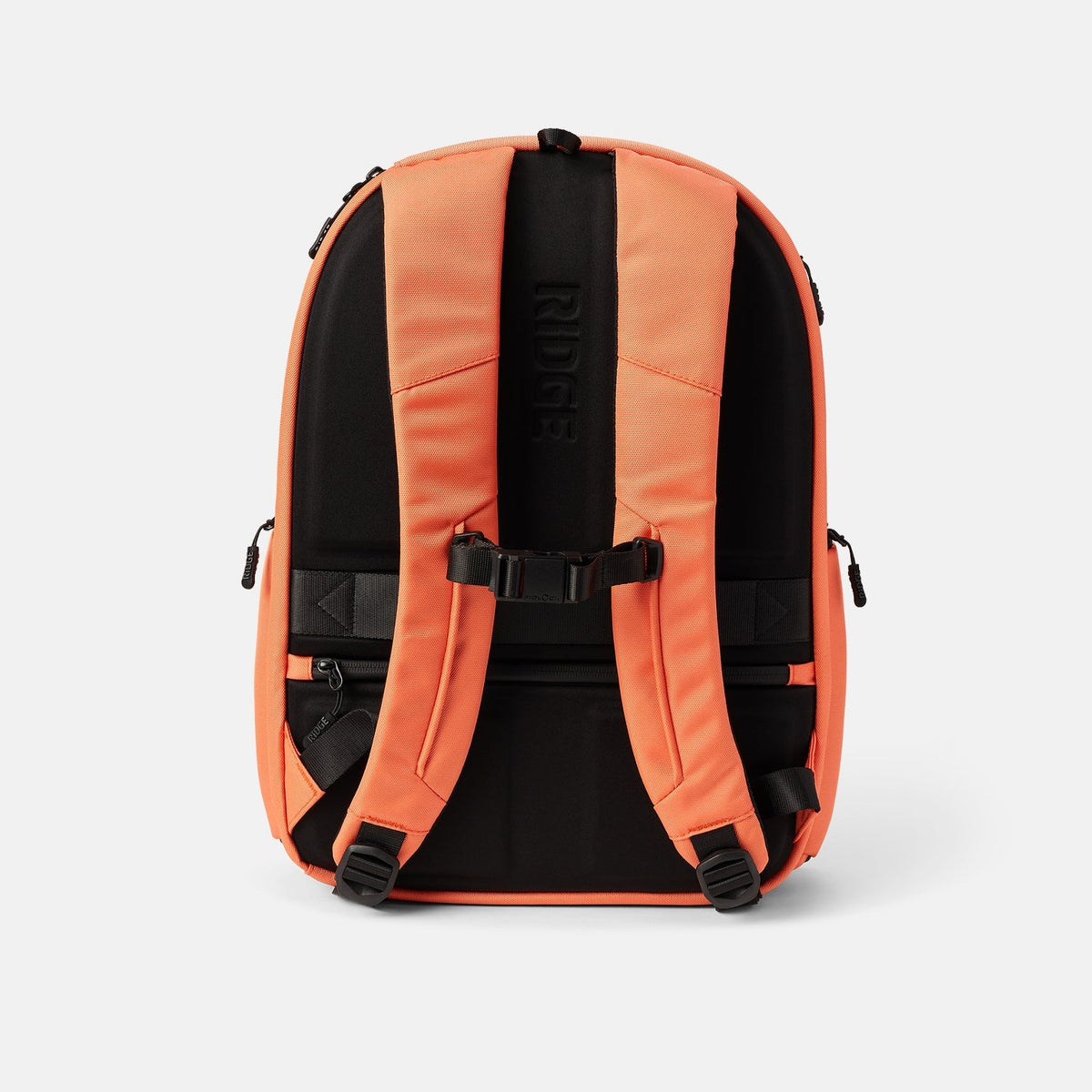 Travel Test [HIDE]