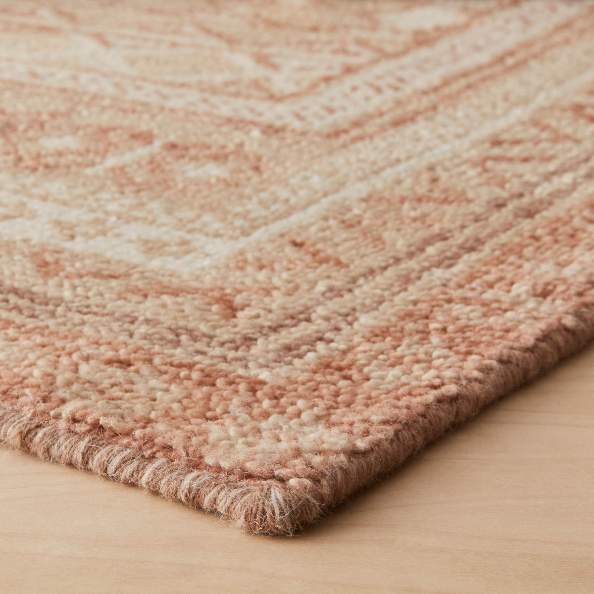 Ekaja Hand-Knotted Area Rug