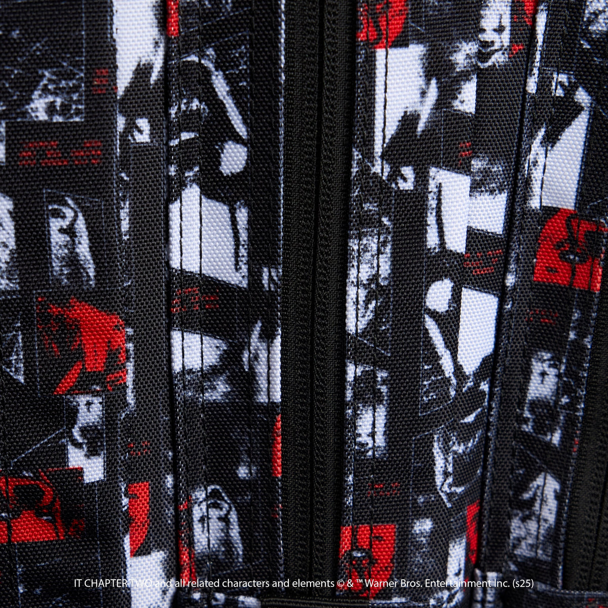 45L Backpack IT Chapter 2