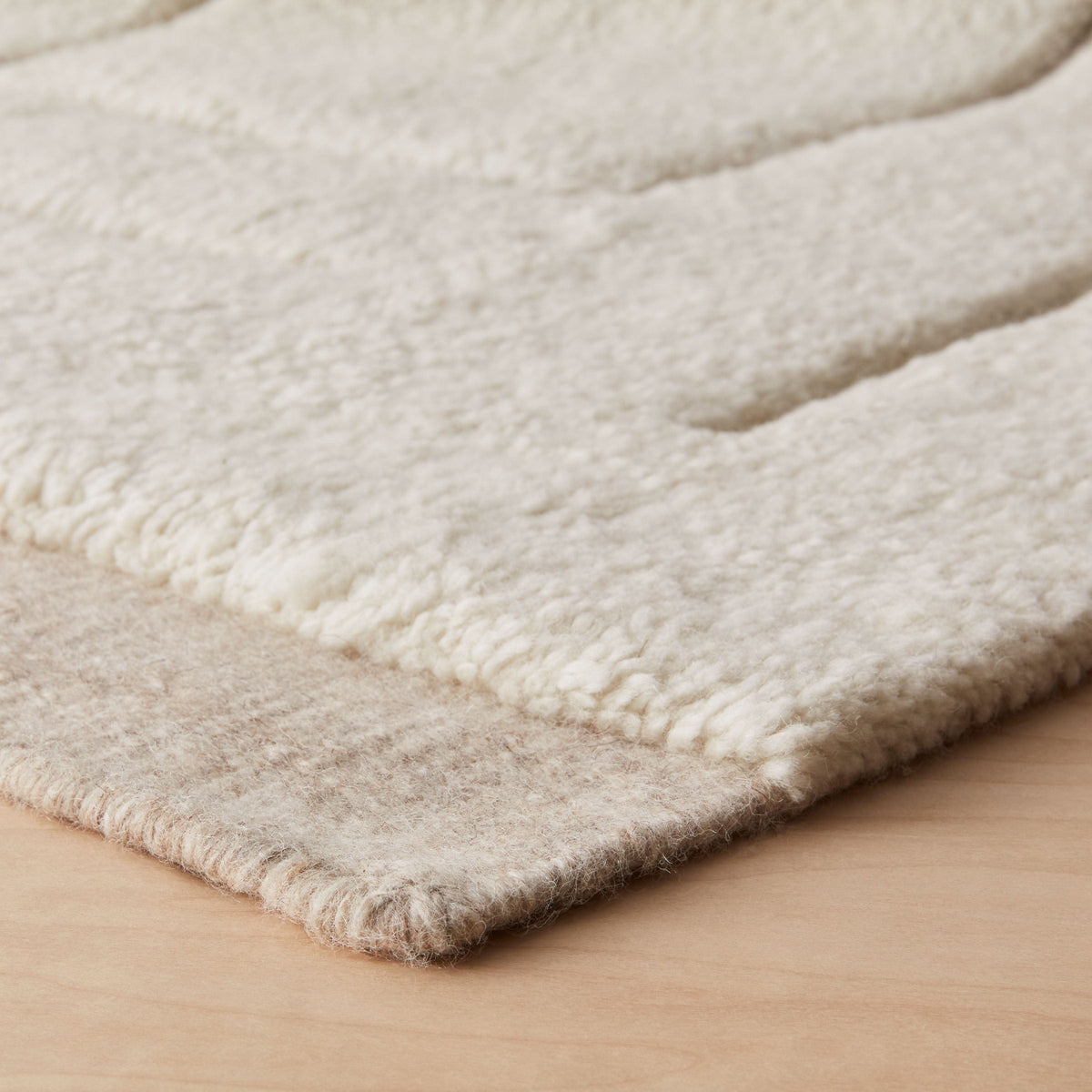 Ishir Hand-Knotted Area Rug