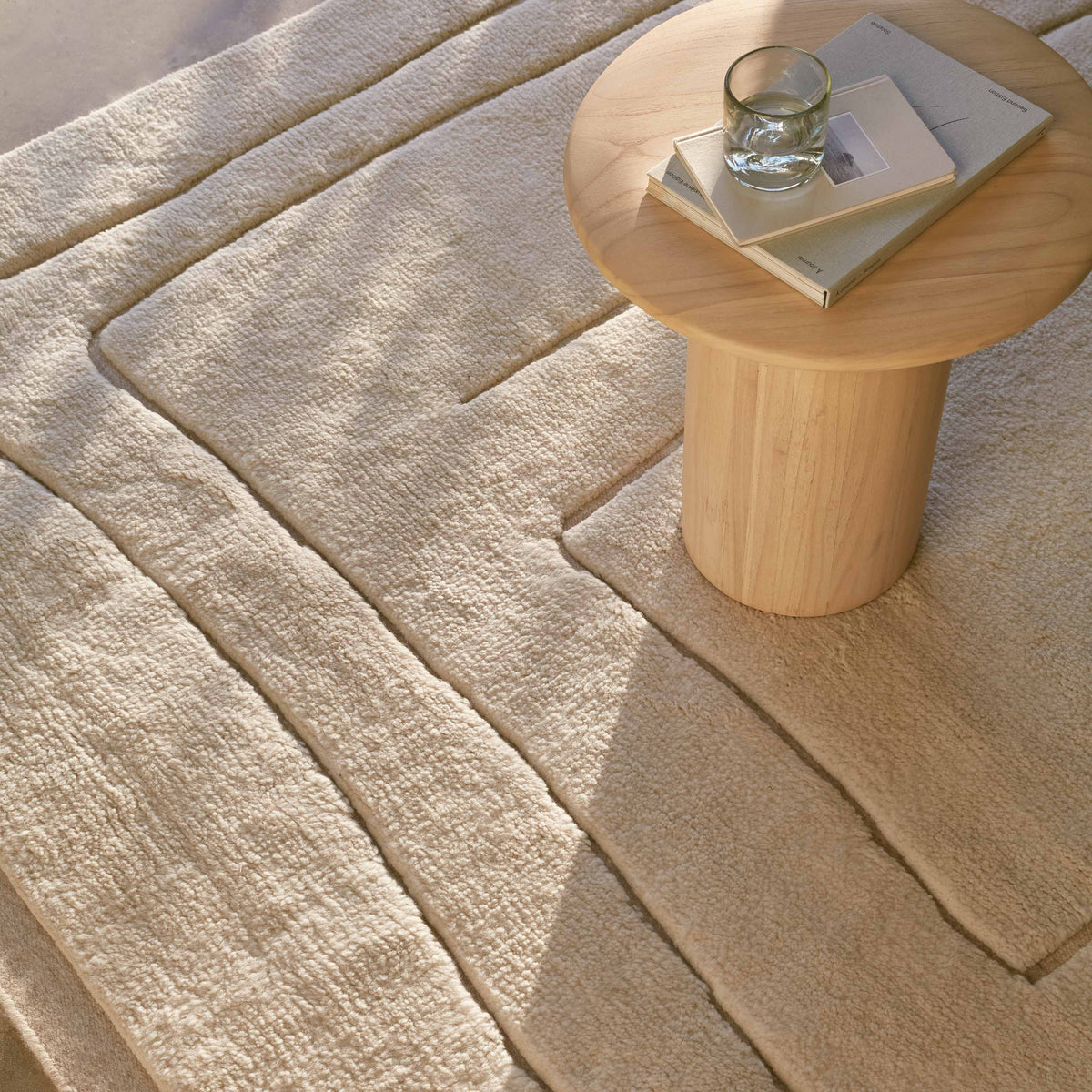 Ishir Hand-Knotted Area Rug