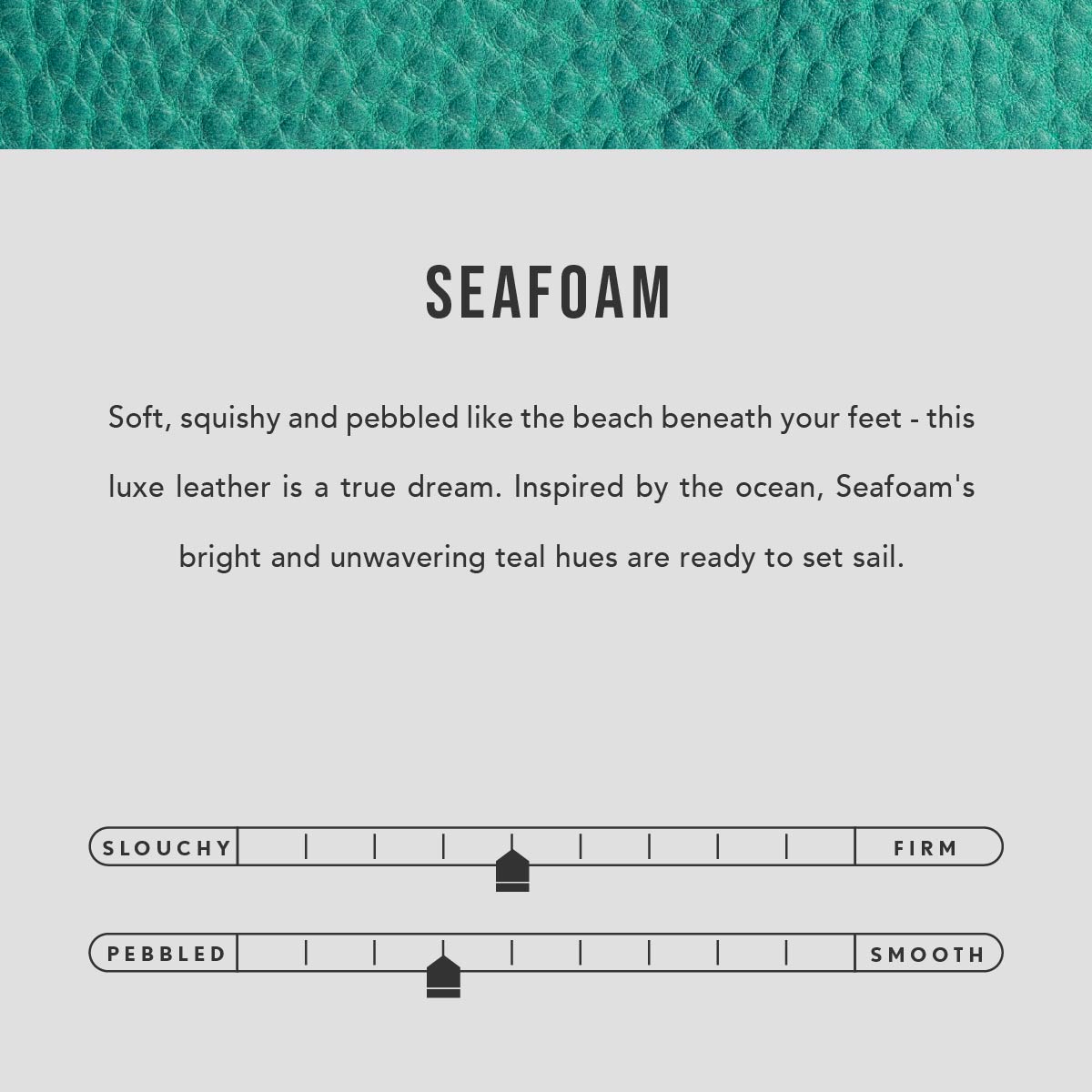 Seashell Pouch