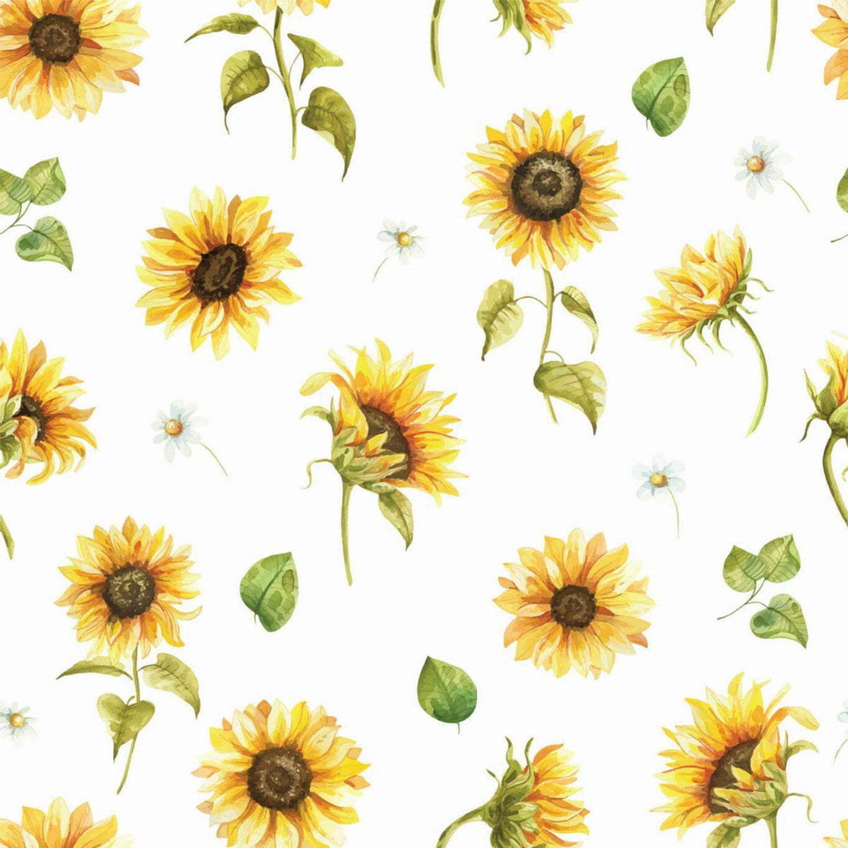 Morning Dew Sunflowers Wallpaper