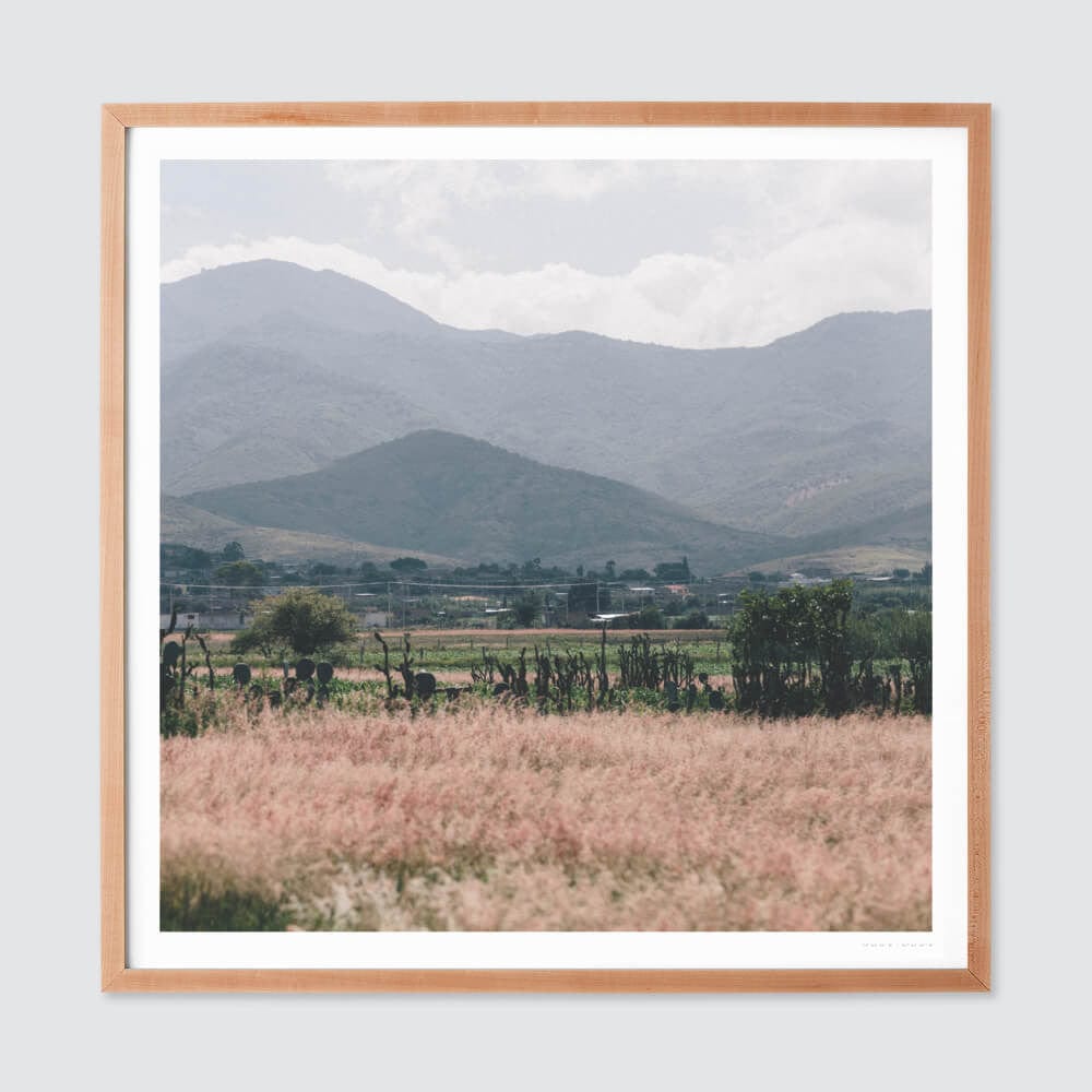 Oaxaca .02