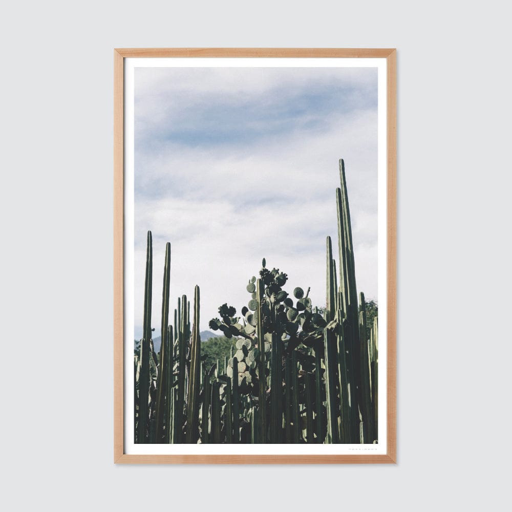 Oaxaca .03