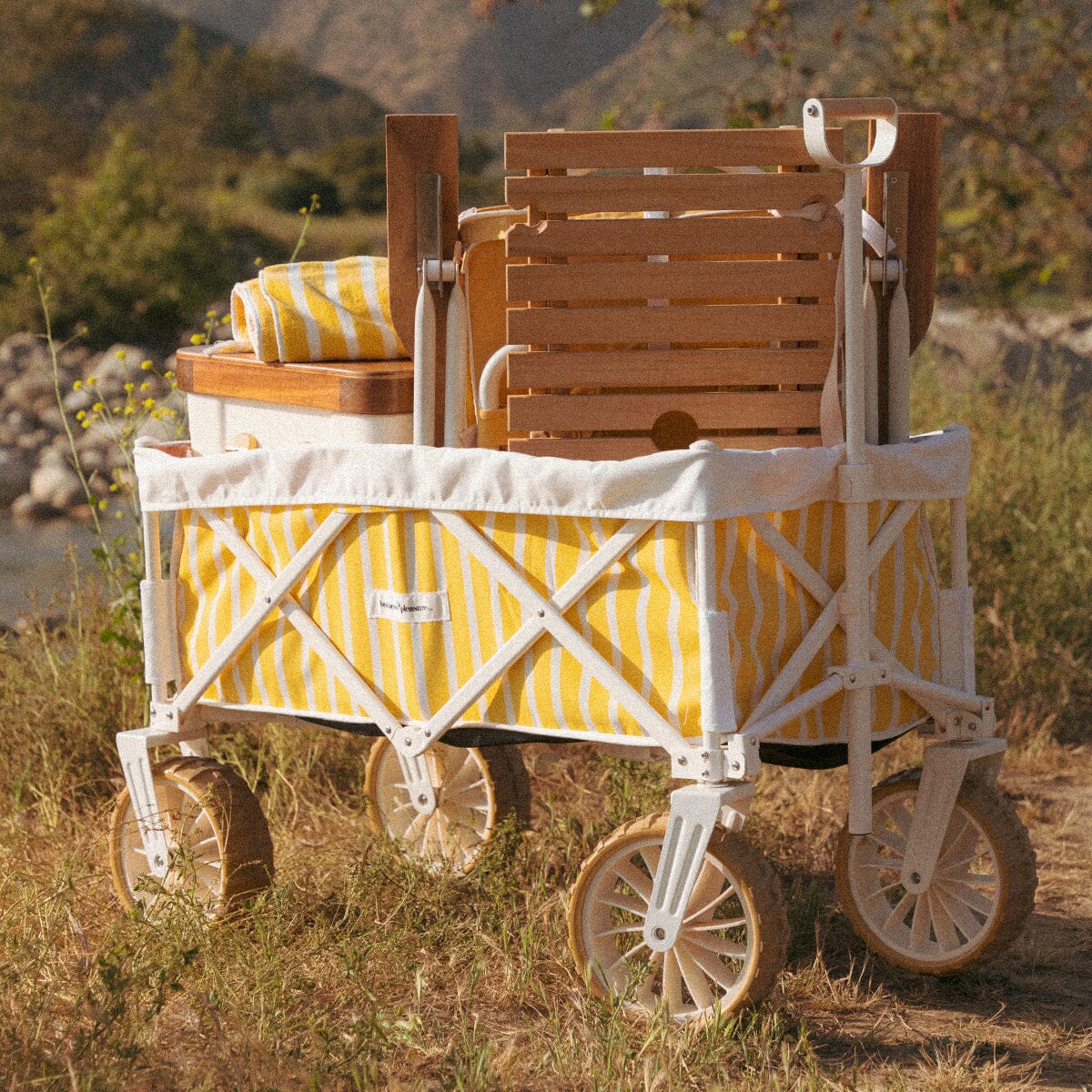 The Beach Cart