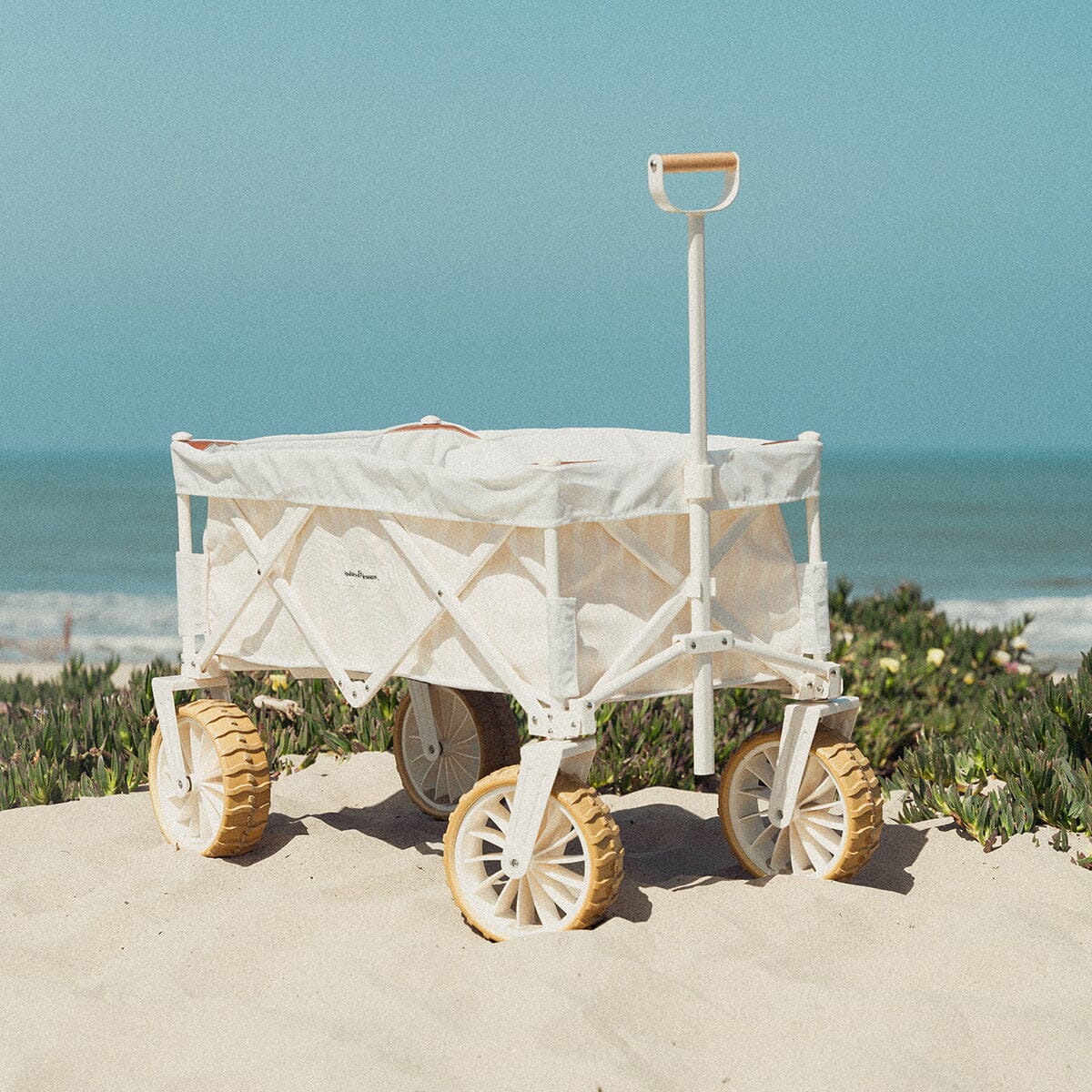 The Beach Cart