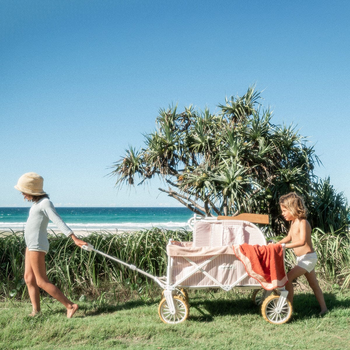 The Beach Cart