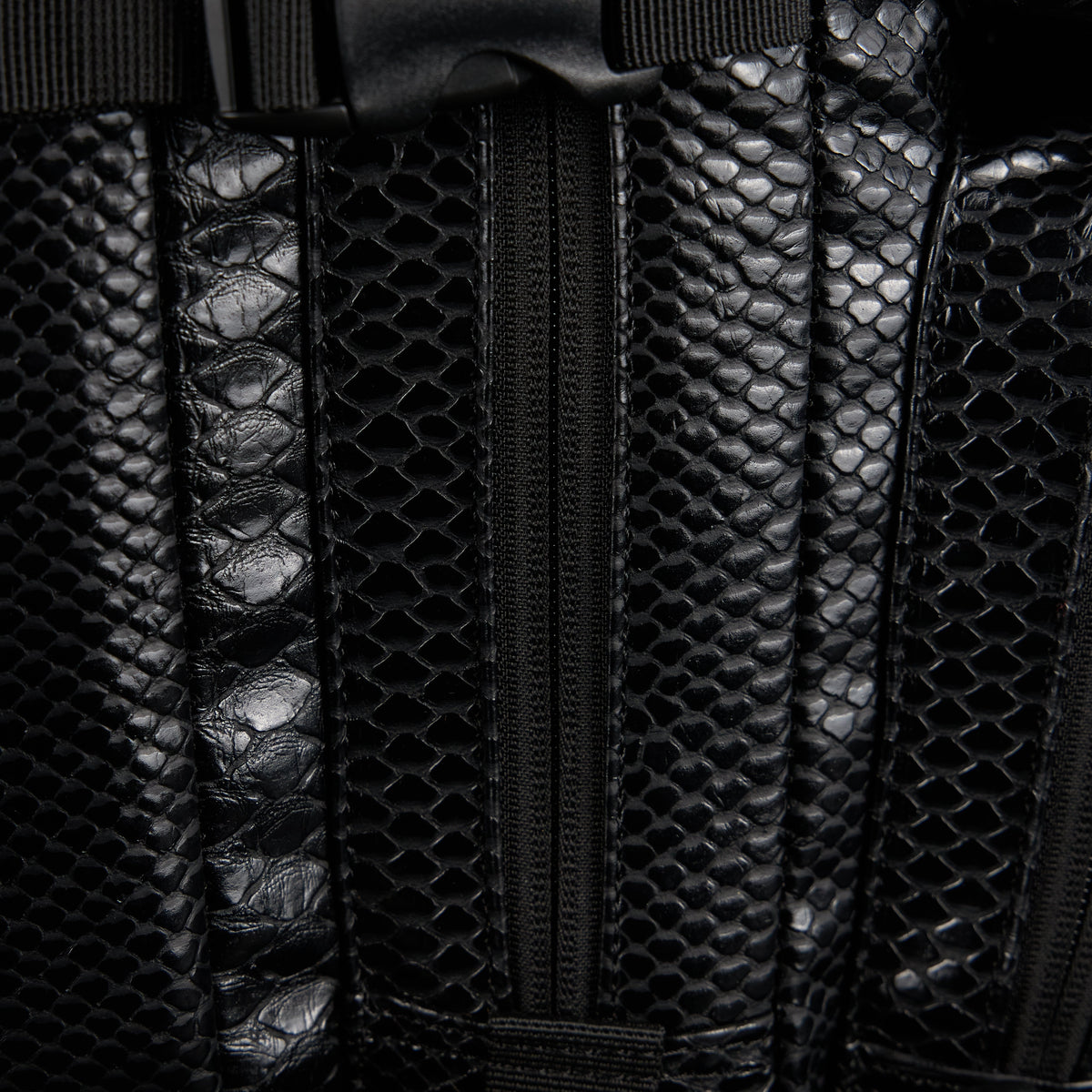 45L Backpack King Cobra