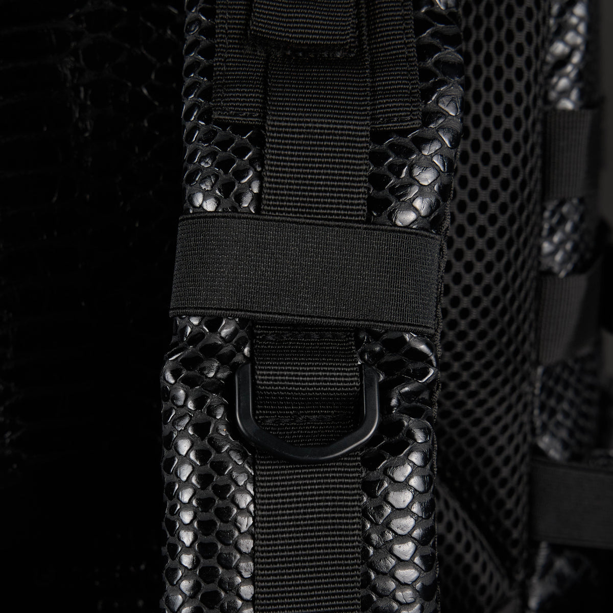 35L Backpack King Cobra