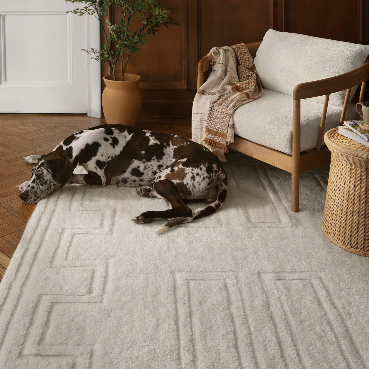 Padma Washable Area Rug