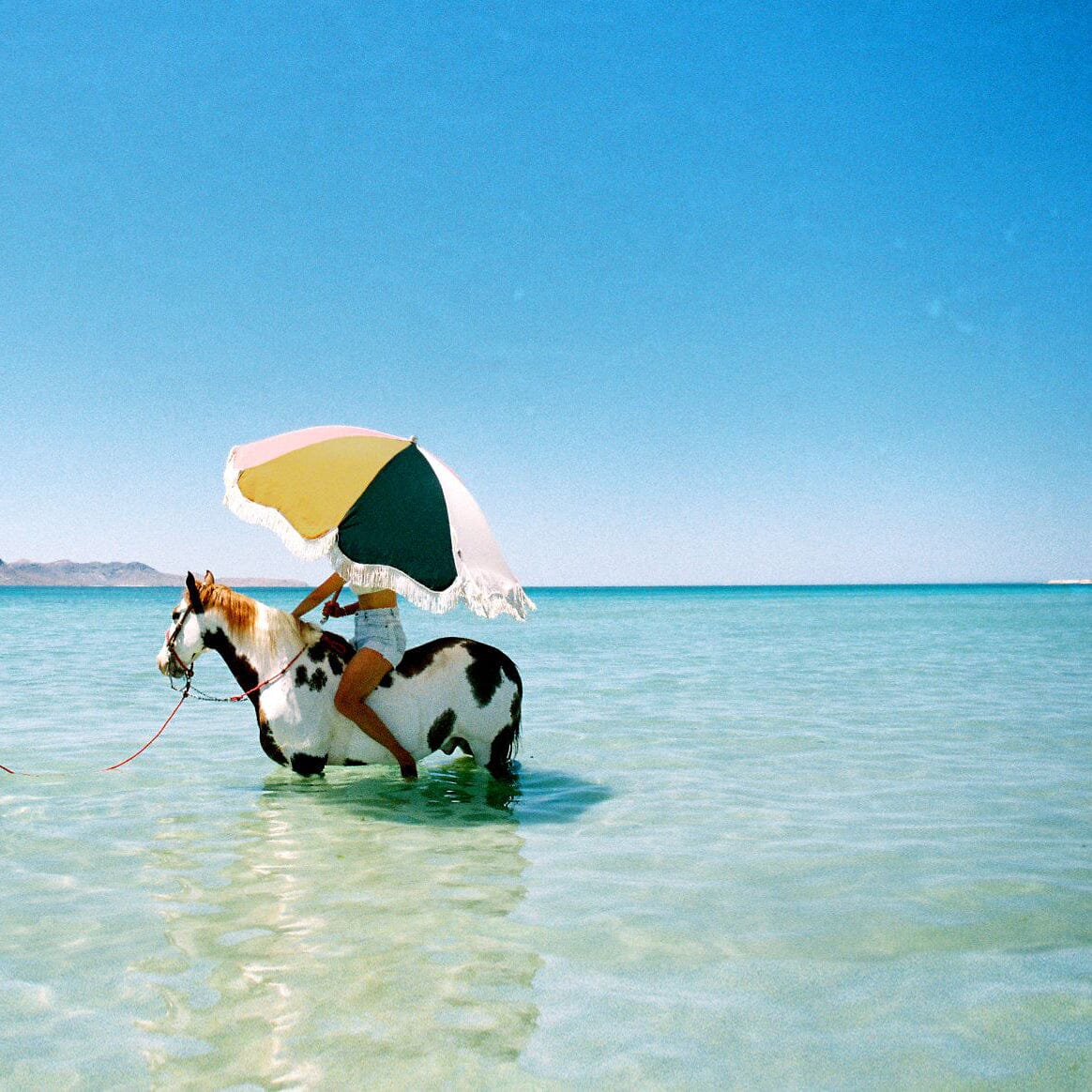 The Premium Beach Umbrella