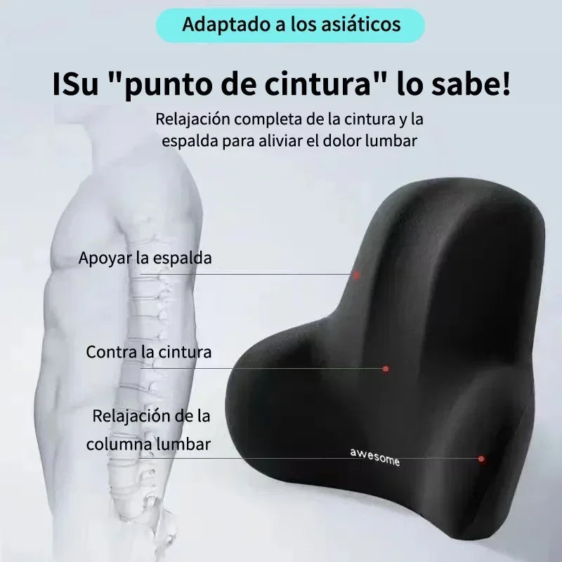 Memory Foam Lumbar Support Pillow