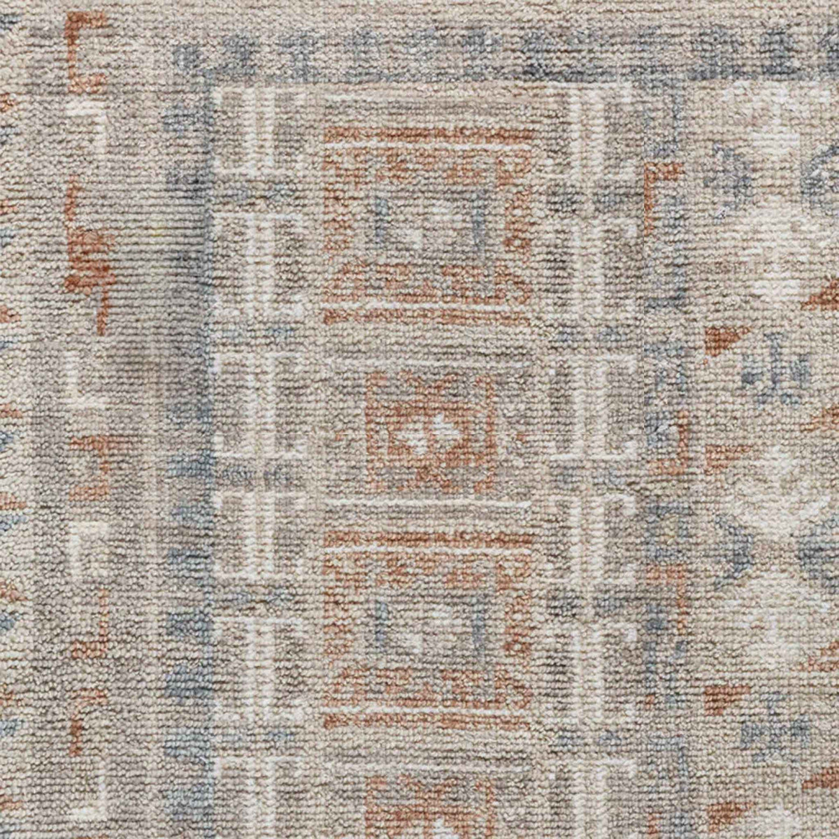 Sarasi Hand-Knotted Area Rug