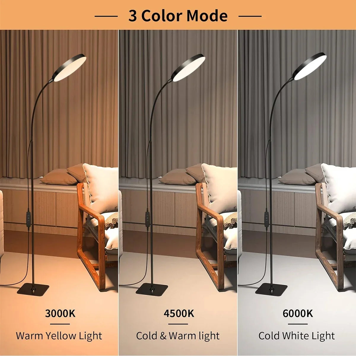 LED Floor Lamp