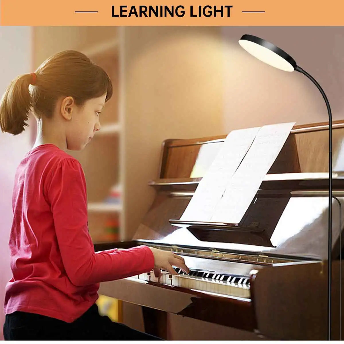 LED Floor Lamp