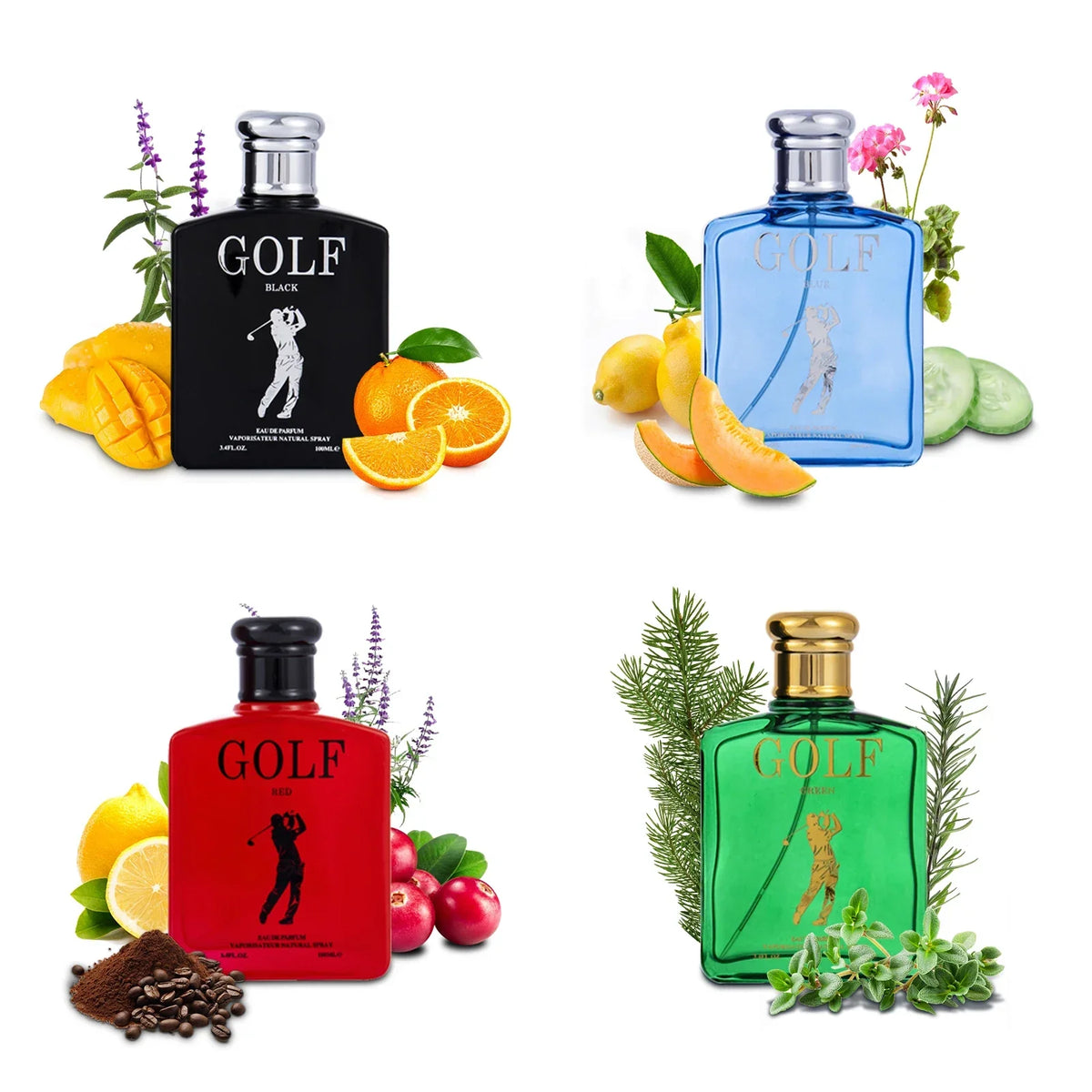 Men Chypre Woody Perfume