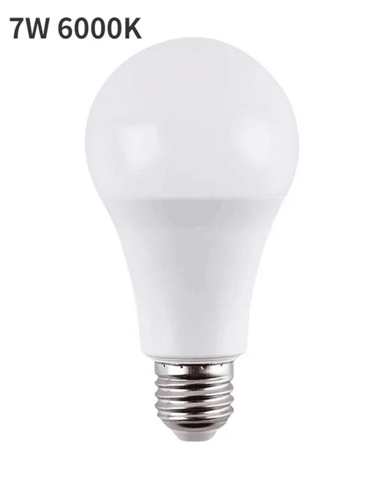 Wall Mounted LED Lamp E27