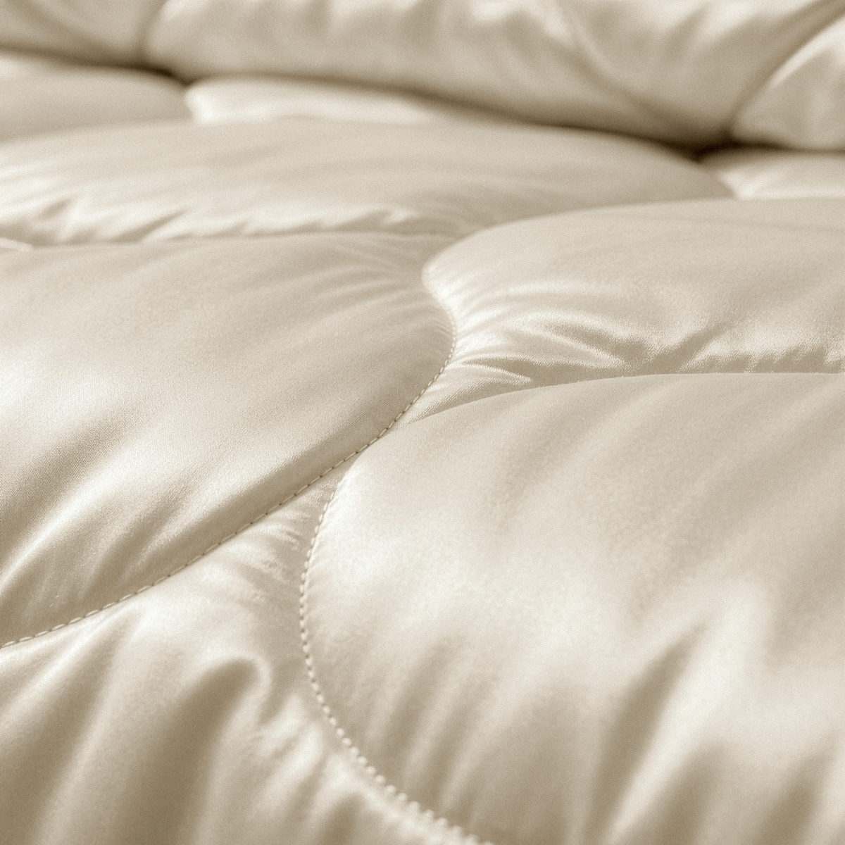 Beyond Bamboo Cloud Comforter
