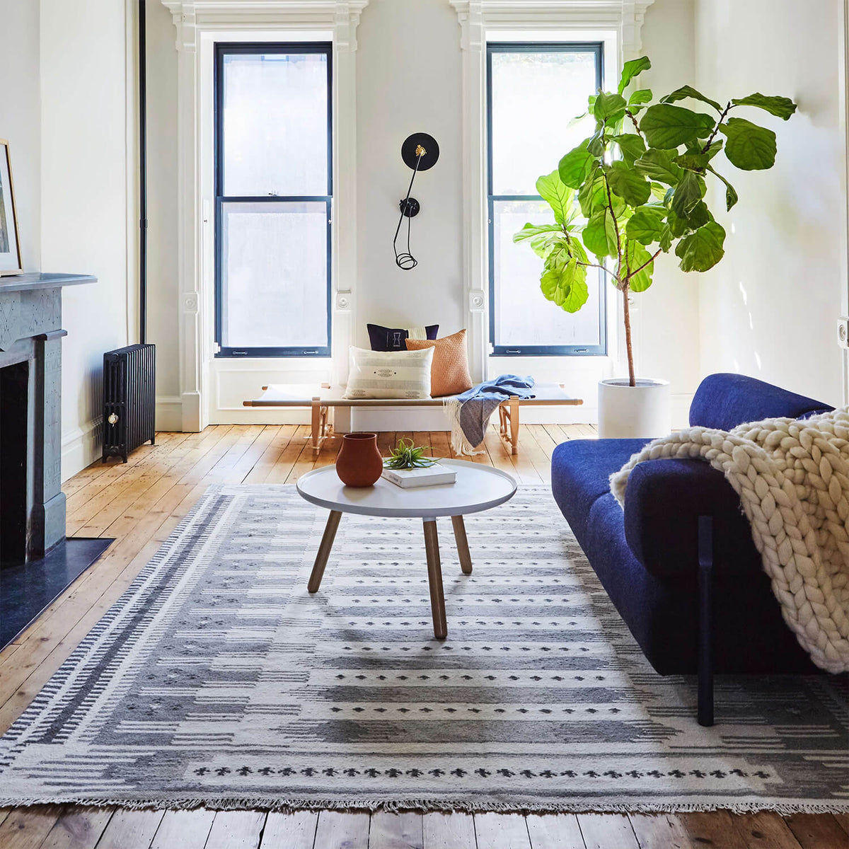 Asha Handwoven Area Rug