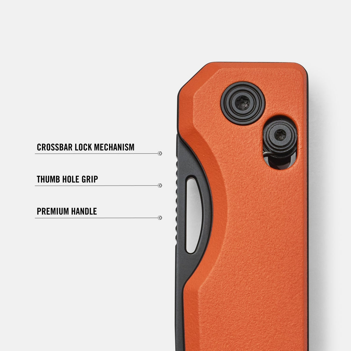 Everyday Folder - Traditional Flash