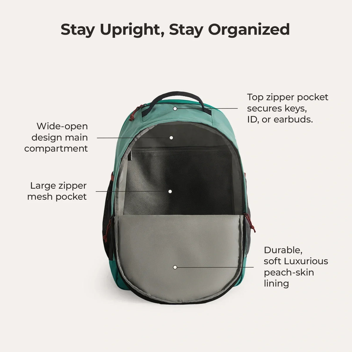 Focus 15.6" Laptop Backpack